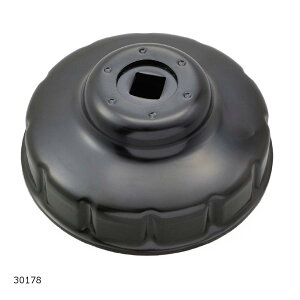 Daytona (fCgi) ICtB^[`BMWp 30178 }\