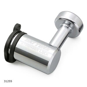 Daytona (fCgi) CfBXNbN S`F[bNp 31255