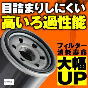 fCgi ICtB^[P[X 10 98734 35202