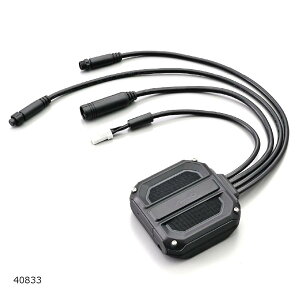 Daytona (�f�C�g�i) M820WD�p��C�{�� 40833