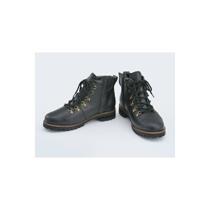 Daytona (fCgi) HBS-005 }Eeu[c ubN 28.0 16845