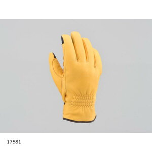 Daytona (fCgi) HBG-057 YDEB^[O[u L/L 17581