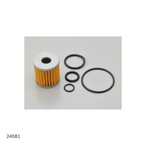 Daytona (fCgi) ICZbg AhX110 24581 }\