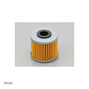 Daytona (fCgi) vCXICtB^[ X[p[Ju 25124 }\