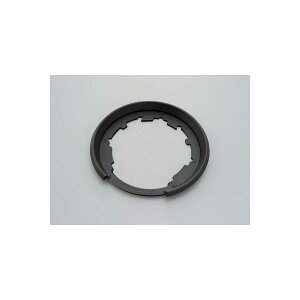 Daytona (fCgi) GIVI ZT480F FLANGIA 98632