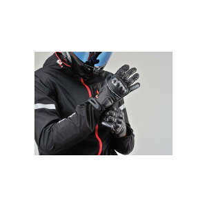 Daytona (fCgi) HBG-036 X|[cV[gO[u ubN/M 99223