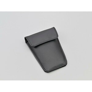 Daytona (fCgi) U[^Npbh|Pbgv[ ubN 48740