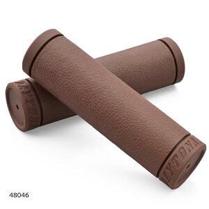 Daytona (fCgi) Obv GRIPPYGRIP-STD25.4uE 48046