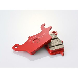 Daytona (fCgi) ԃpbh123 gVeBFR 48662