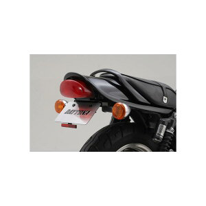 Daytona (fCgi) tF_[XLbg [t@[1100 ZEPHYR1100