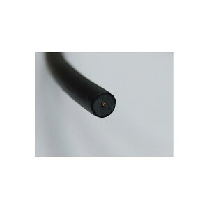 Daytona (fCgi) ėpvOR[h 7mm-2m