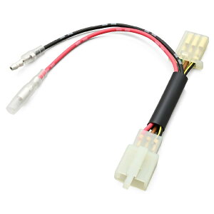 Daytona (fCgi) ACCn[lX V[g W230 61857