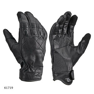 Daytona (fCgi) DG-019 X[obNU[O[u ubN/XL 61719