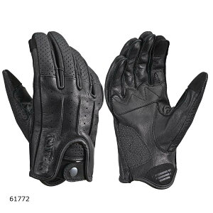 Daytona (fCgi) DG-021 h[~[U[O[u ubN /L 61772