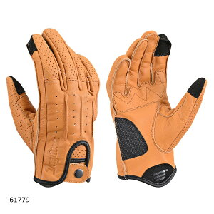 Daytona (fCgi) DG-021 h[~[U[O[u uE /XL 61779