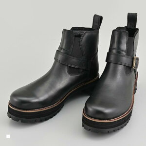 Daytona (fCgi) HBS-008+ TChSAu[c ubN24.5 62939