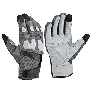 Daytona (fCgi) DG-024 upbgEB^[O[u O[ /S 63259