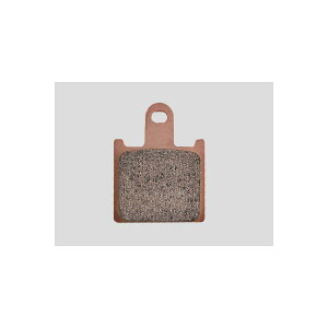 Daytona (fCgi) nCp[V^[h F ZZR1400