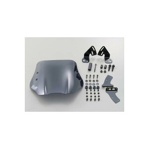 Daytona (fCgi) EChV[h XN[ SS:AhXV125/K7