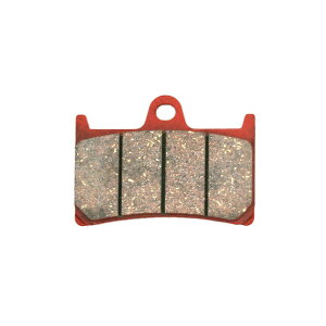 Daytona (fCgi) ԃpbh u[Lpbh PADYZF1000R/R1