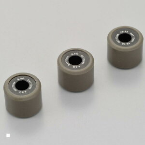 Daytona (fCgi) EGCg[[ 16X13L 4.5GX3