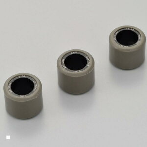 Daytona (fCgi) EGCg[[ 16X13L 6.5GX3