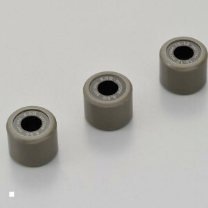 Daytona (fCgi) EGCg[[ 15X12L 8.5GX3