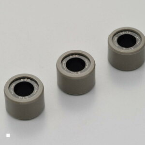 Daytona (fCgi) EGCg[[ 17X12L 8.5GX3