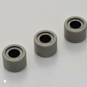 Daytona (fCgi) EGCg[[ 17X12L 9GX3