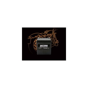 DAYTONA (�f�C�g�i) �n�C�p�t�H�[�}���XB DYTX30HL-BS 92892