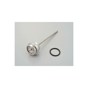 Daytona (fCgi) RRfBbvbXeBbNvzCg