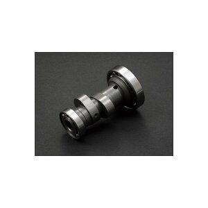 Daytona (fCgi) DRAGJVtg DYNAHEAD