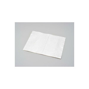 Daytona (fCgi) fMOXE[ V[g 300X400 }\