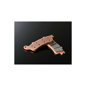 Daytona (fCgi) S[fpbhX CBR1100XX