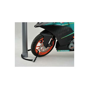 Daytona (fCgi) XgK[X`[NbN1200SIL