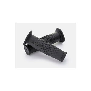 Daytona (fCgi) GRIPPYGRIP Obs[Obv GG-DI-ARC-3 BK