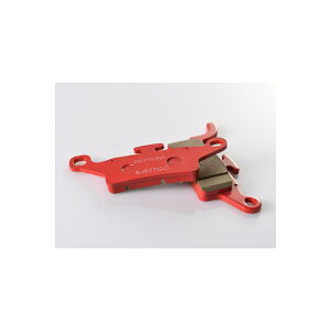 Daytona (fCgi) PAD F ANVXg[g
