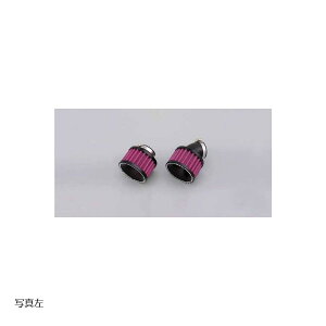 Daytona (fCgi) p[tB^[ Xg[g 35mm