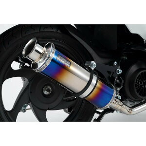 BEAMS (�r�[���X) SS300�q�[�g�`�^��SP Dio110 JF58 G170-06-000