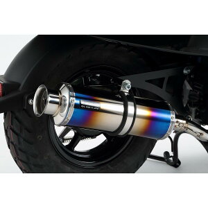 BEAMS (r[X) SS300q[g`^ SP VOX JBH-SA52J G250-06-000