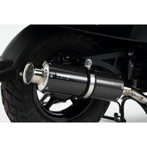 BEAMS (r[X) SS300J[{ SP VOX JBH-SA52J G250-08-000