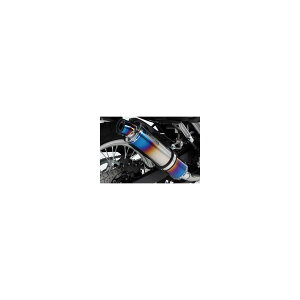 BEAMS (r[X) R-EVO XbvI q[g`^ VERSYS-X 250/TOURER G427-53-P1J