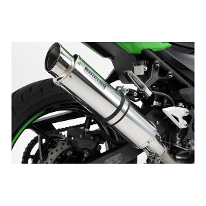 BEAMS (r[X) R-EVO2 XbvI XeX Ninja400 2BL-EX400G G431-54-P3J