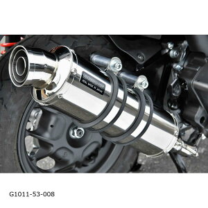 BEAMS (ビームス) R-EVO ステンレス リード125 8BJ-JK12 G1011-53-008