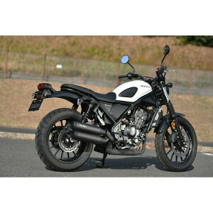 BEAMS (r[X) p[wb_[ W (}bgubN) CL250 8BK-MC57 G1020-23-001