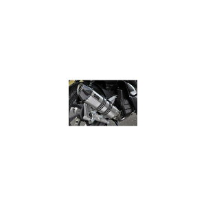 BEAMS (r[X) CORSA-EVO2 XeX PCX HYBRID 2AJ-JF84 G183-64-000