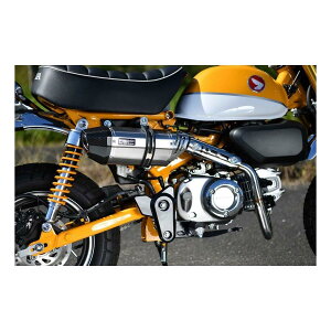 BEAMS (r[X) CORSA-EVO2XeXTCT[ L[125@2BJ-JB02 G187-64-000