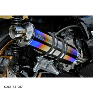 BEAMS (r[X) R-EVO q[g`^TCT[ X-MAX250 8BK-SG70J G265-53-007