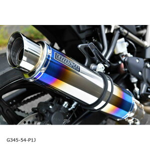 BEAMS (ビームス) R-EVO2 スリップオン ヒートチタン SV650/X 8BL-VP55E G345-54-P1J