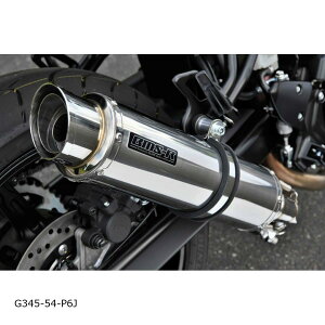 BEAMS (r[X) R-EVO2 XbvI XeX SV650/X 8BL-VP55E G345-54-P6J